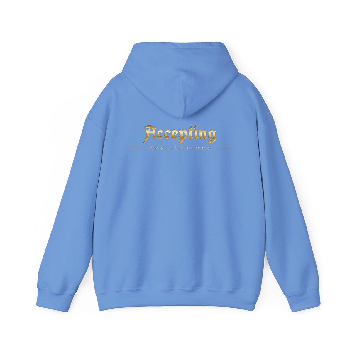 Accepting Applications Hoodie (Front & Back Print)