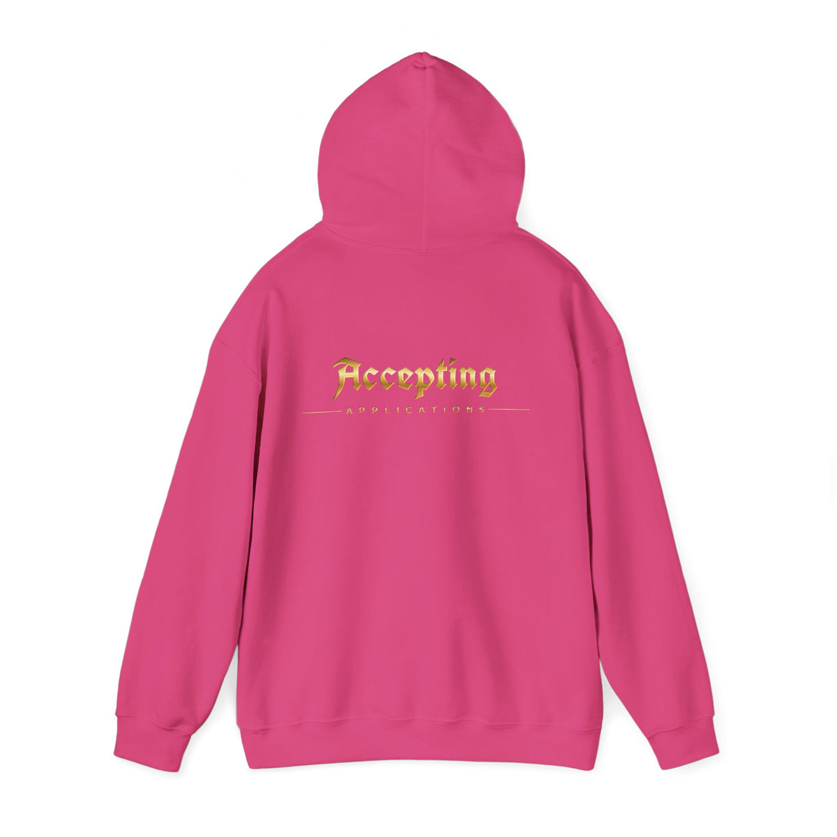 Accepting Applications Hoodie (Front & Back Print)