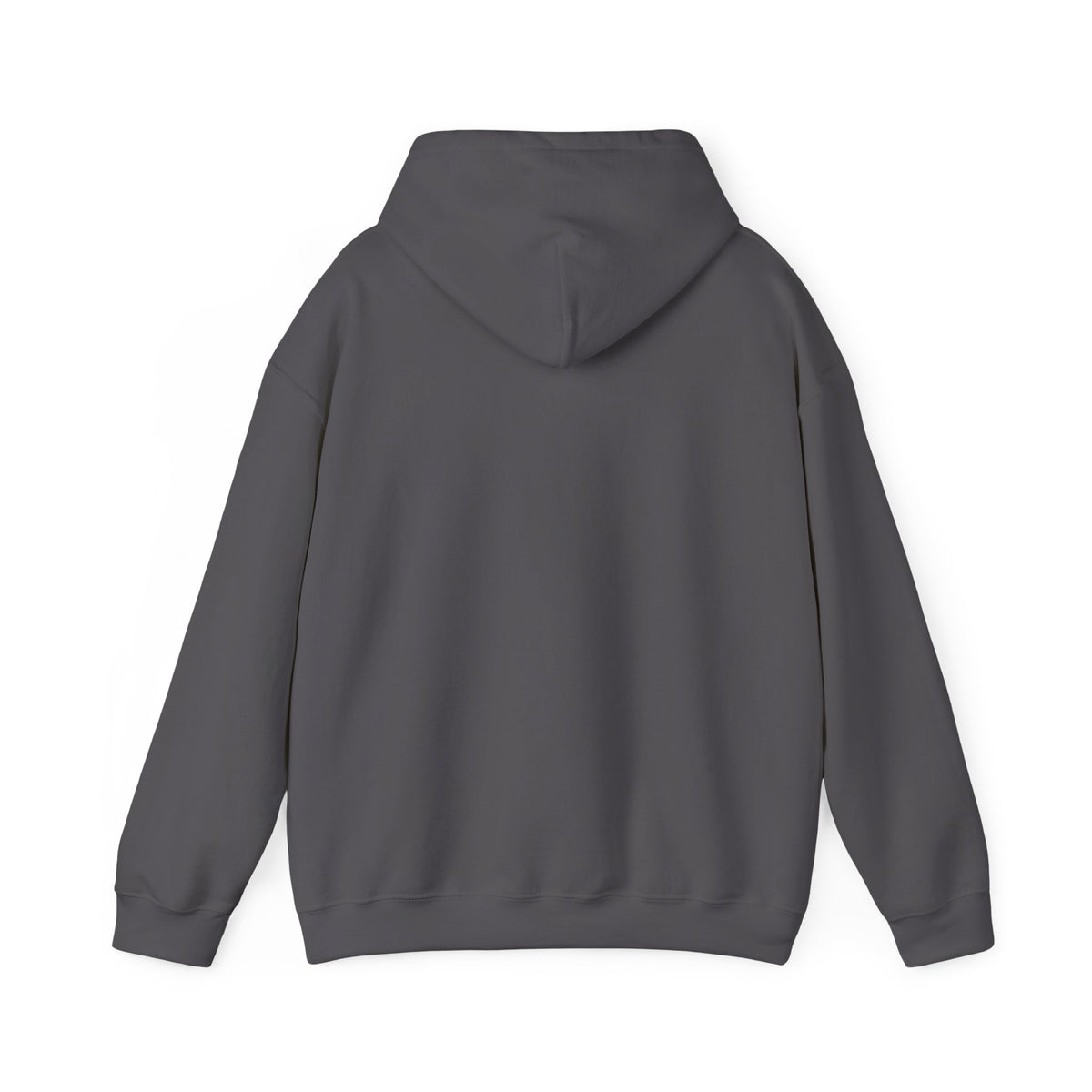 Accepting Applications Hoodie