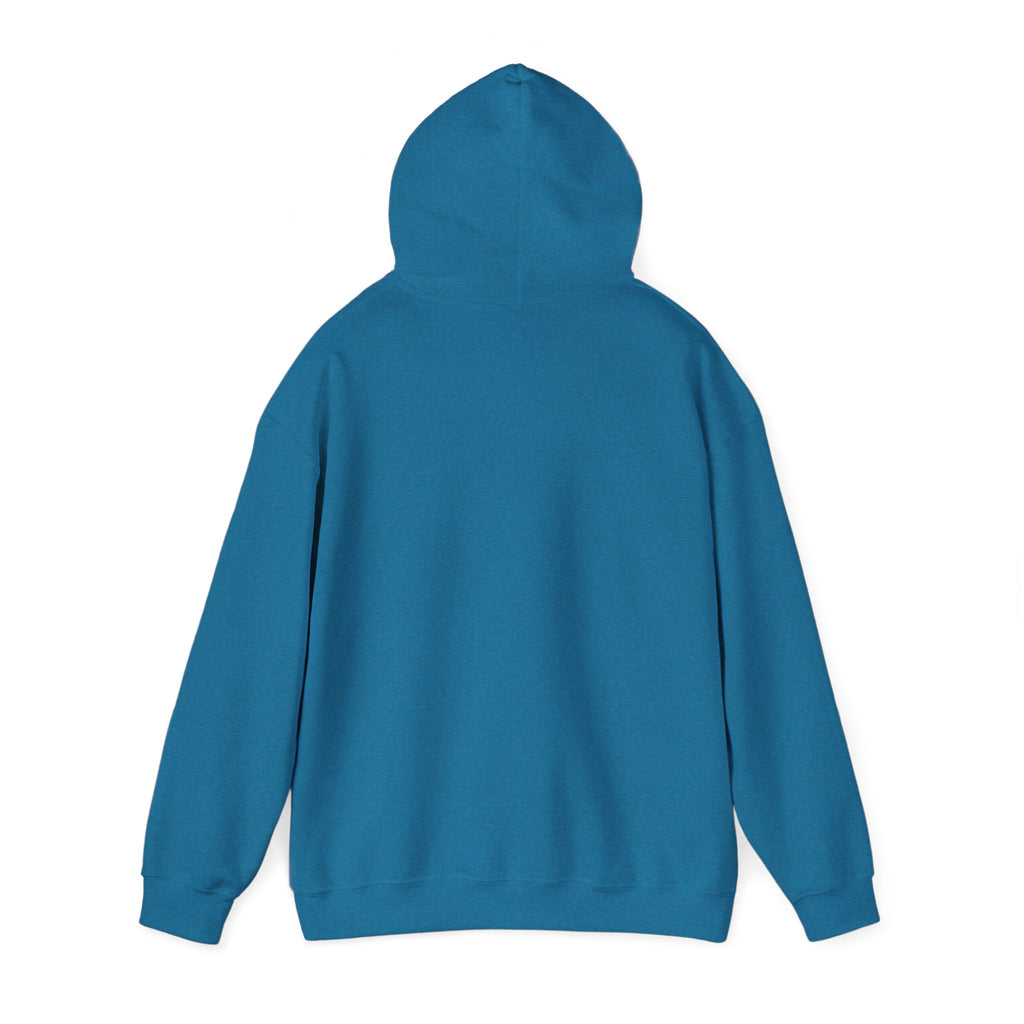 Approachable Hoodie