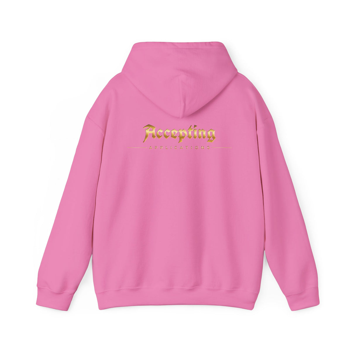 Accepting Applications Hoodie (Front & Back Print)