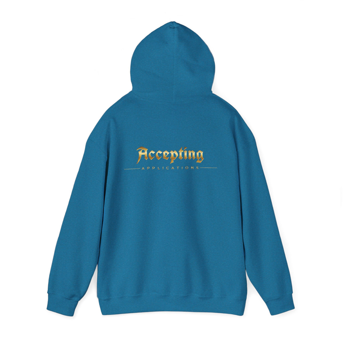 Accepting Applications Hoodie (Front & Back Print)