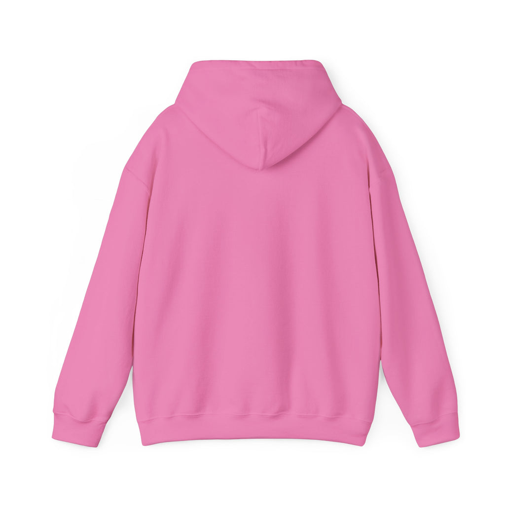Accepting Applications Hoodie