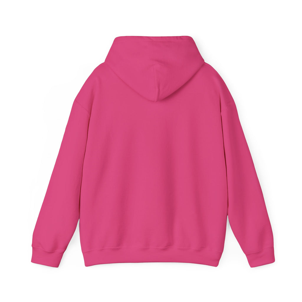 Accepting Applications Hoodie