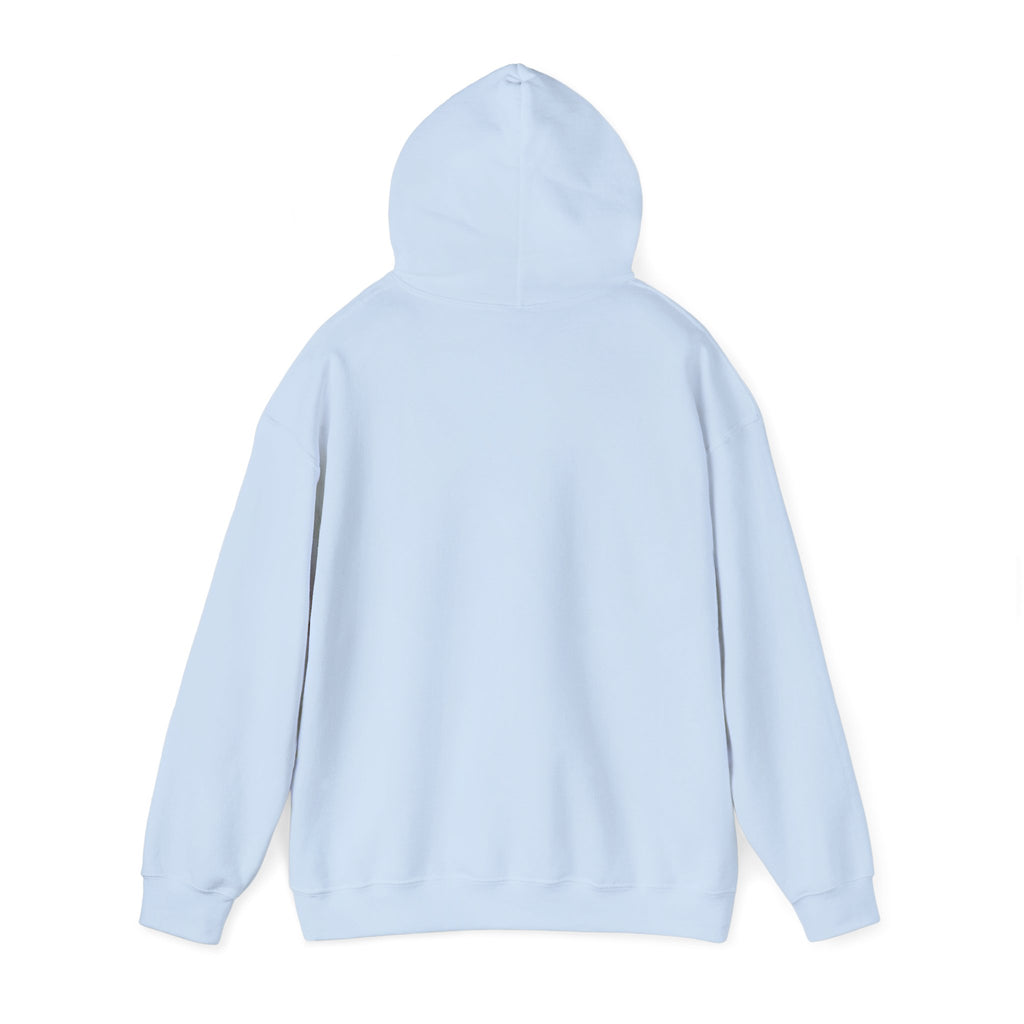 Accepting Applications Hoodie