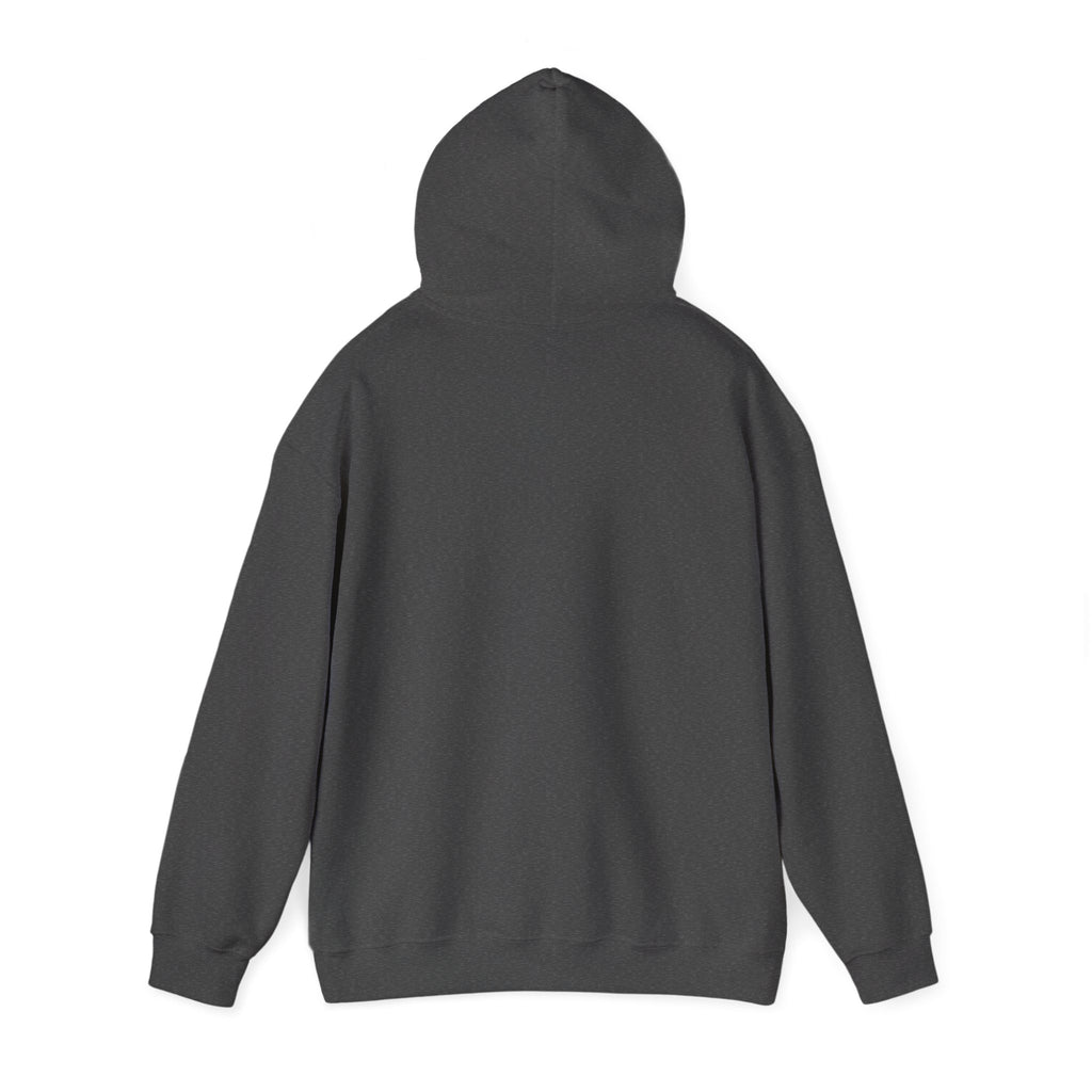 Approachable Hoodie