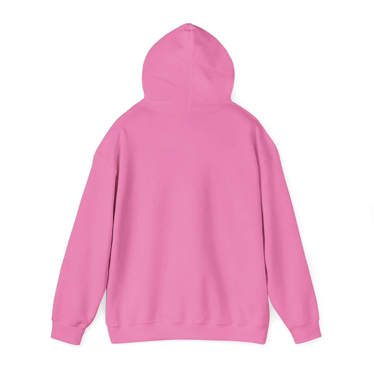 Accepting Applications Hoodie