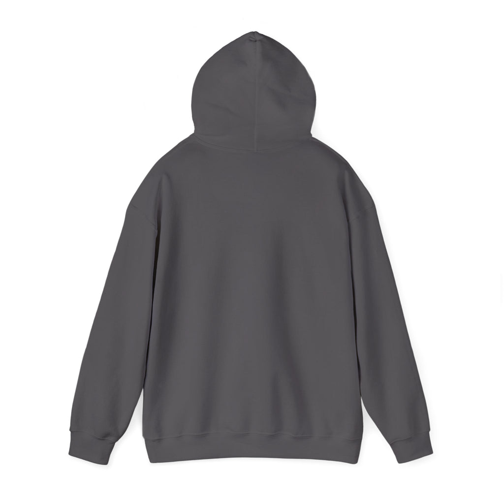 Accepting Applications Hoodie