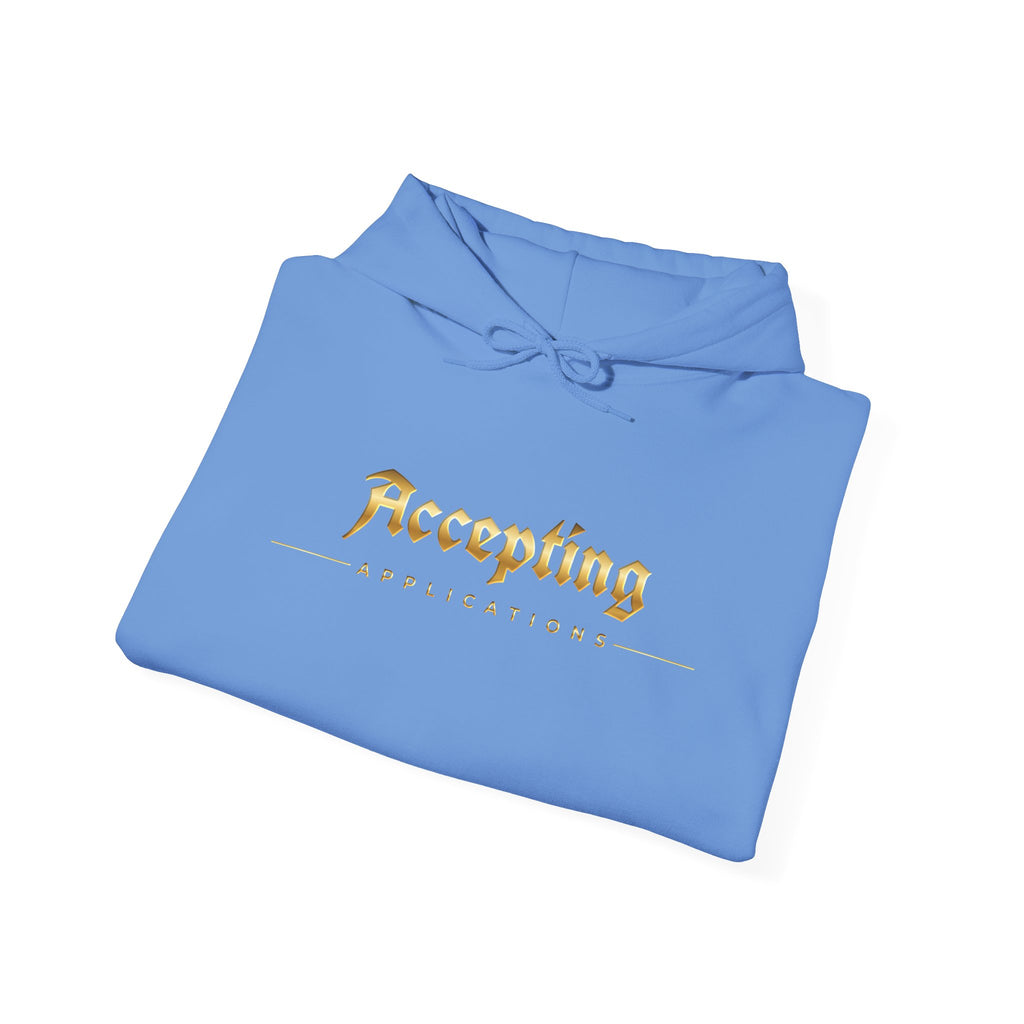 Accepting Applications Hoodie