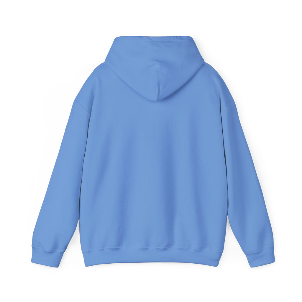 Accepting Applications Hoodie